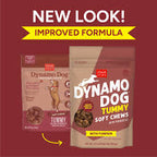 Cloud Star Dynamo Dog Tummy Treats – Soft & Chewy Probiotics Support for Dogs (14 oz. Pumpkin and Ginger) (20212)