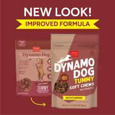 Cloud Star Dynamo Dog Tummy Treats – Soft & Chewy Probiotics Support for Dogs (14 oz. Pumpkin and Ginger) (20212)