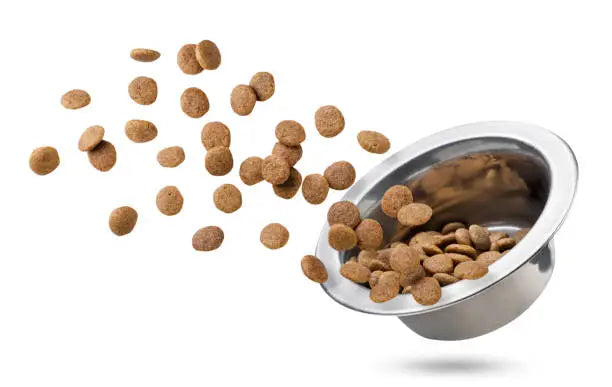 Healthy & Crunchy Kibble for Dogs & Cats